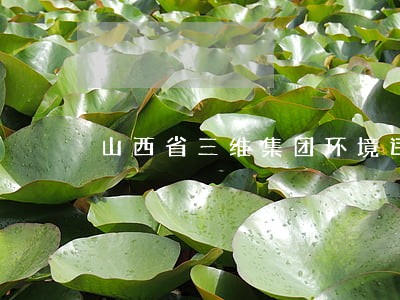 山西省三维集团环境违法事件