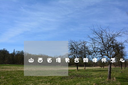 山西省债务合同律师怎么收费 山西省债务合同律师怎么收费