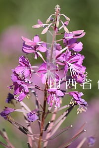 山西省债务律师事务所 山西省债务律师事务所