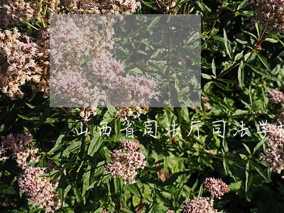 山西省司法厅司法学校