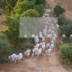 山西省怀仁市有好律师没 山西省怀仁市有好律师没