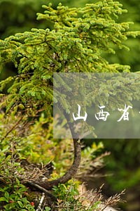 山西省晋城市法律顾问 山西省晋城市法律顾问