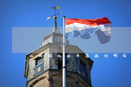 山西省机动车违法代码处罚 山西省机动车违法代码处罚