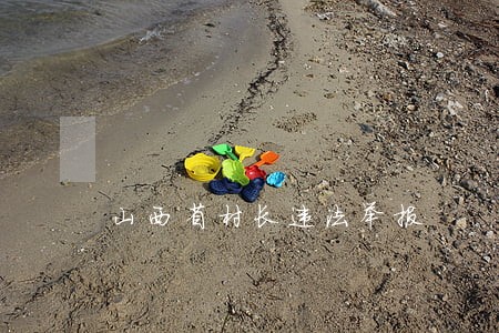 山西省村长违法举报 山西省村长违法举报