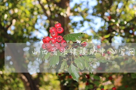 山西省法律援助中心官网 山西省法律援助中心官网
