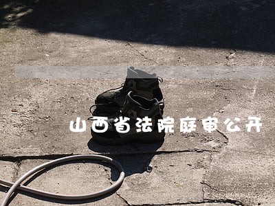 山西省法院庭审公开