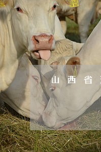 山西省法院招考书记员 山西省法院招考书记员