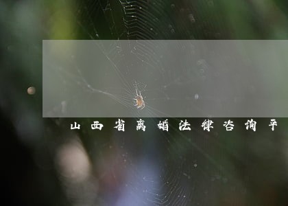 山西省离婚法律咨询平台 山西省离婚法律咨询平台