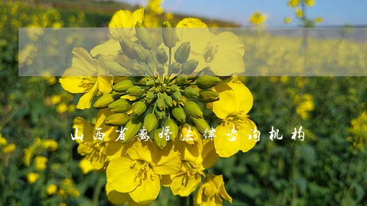 山西省离婚法律咨询机构 山西省离婚法律咨询机构