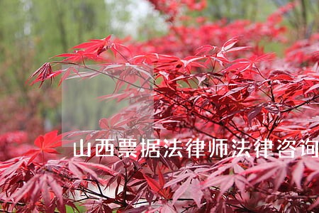 山西票据法律师法律咨询 山西票据法律师法律咨询