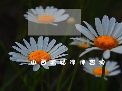 山西离婚律师咨询 山西离婚律师咨询