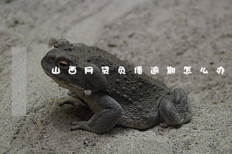 山西网贷负债逾期怎么办