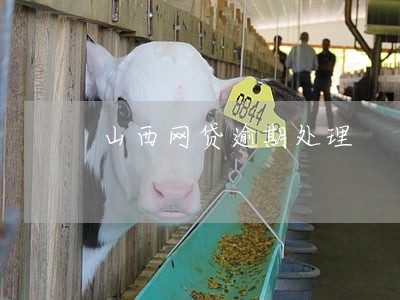 山西网贷逾期处理 山西网贷逾期处理