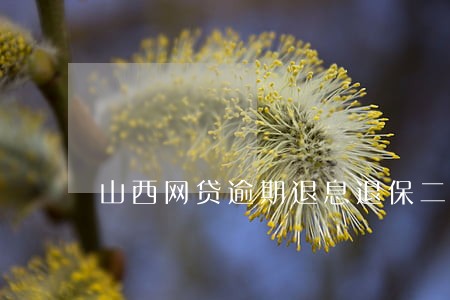 山西网贷逾期退息退保二次分期 山西网贷逾期退息退保二次分期