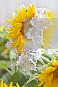 山西翼众农牧有限公司法院起诉