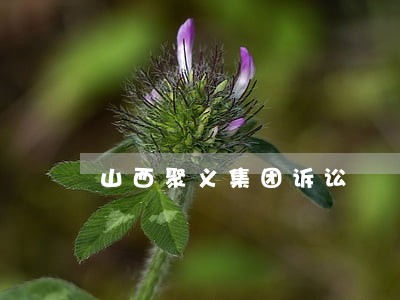 山西聚义集团诉讼 山西聚义集团诉讼