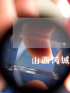 山西芮城法院招聘
