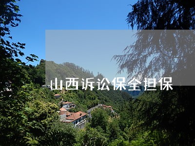 山西诉讼保全担保 山西诉讼保全担保