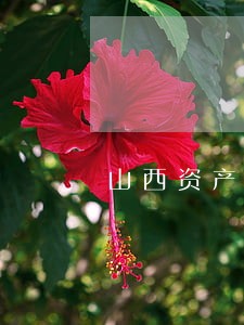 山西资产评估公司综合排名 山西资产评估公司综合排名