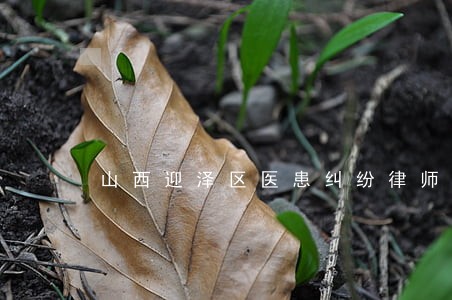 山西迎泽区医患纠纷律师联系方式 山西迎泽区医患纠纷律师联系方式