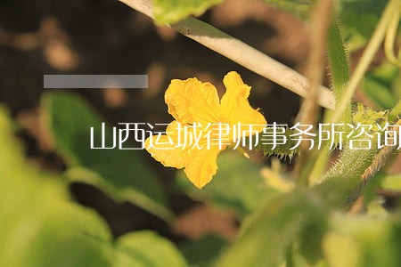 山西运城律师事务所咨询电话 山西运城律师事务所咨询电话
