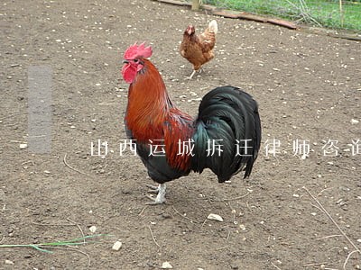 山西运城拆迁律师咨询 山西运城拆迁律师咨询