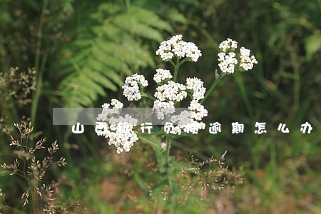 山西银行负债逾期怎么办