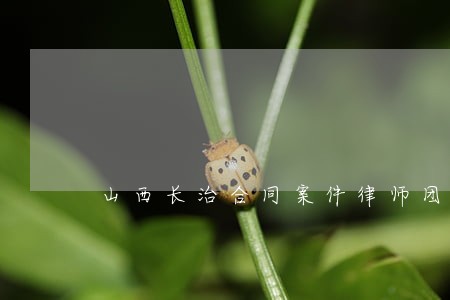 山西长治合同案件律师团队 山西长治合同案件律师团队