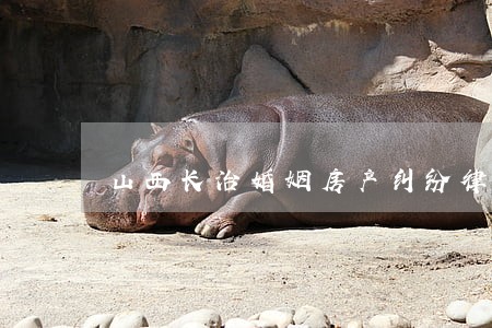 山西长治婚姻房产纠纷律师团 山西长治婚姻房产纠纷律师团