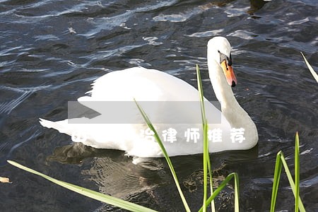 山西长治律师推荐 山西长治律师推荐