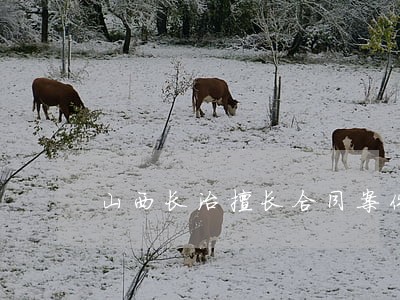 山西长治擅长合同案件律师 山西长治擅长合同案件律师