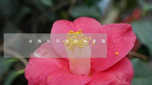 山西长治法院杨李森 山西长治法院杨李森