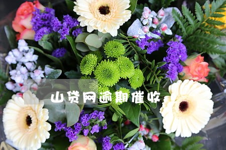 山贷网逾期催收