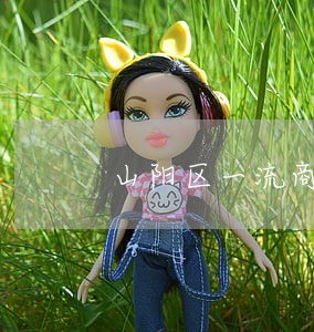 山阳区一流商业诉讼律师 山阳区一流商业诉讼律师