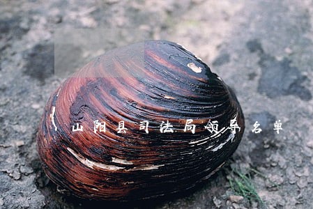 山阳县司法局领导名单