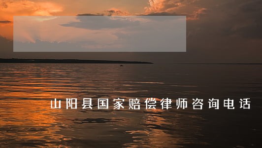 山阳县国家赔偿律师咨询电话