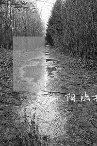 山阳法院公布老赖名单 山阳法院公布老赖名单