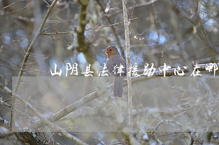 山阴县法律援助中心在哪 山阴县法律援助中心在哪