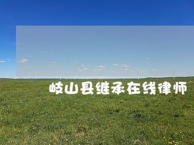 岐山县继承在线律师 岐山县继承在线律师