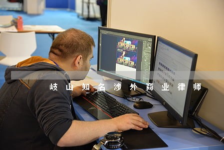 岐山知名涉外商业律师 岐山知名涉外商业律师