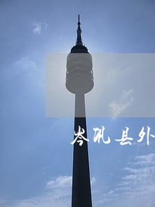 岑巩县外商投资在线律师 岑巩县外商投资在线律师