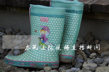 岑巩法院现场直播新闻 岑巩法院现场直播新闻