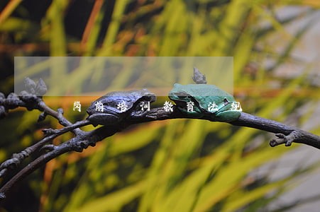 岗前培训教育法规 岗前培训教育法规