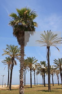 岗永红任市局副局长 岗永红任市局副局长