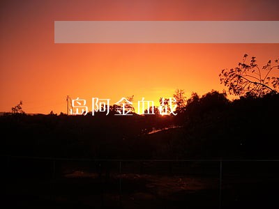 岛阿金血战 岛阿金血战
