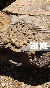 岢岚县涉外仲裁律师在线免费咨询 岢岚县涉外仲裁律师在线免费咨询