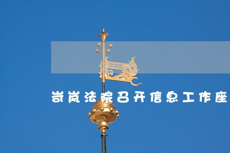 岢岚法院召开信息工作座谈会 岢岚法院召开信息工作座谈会