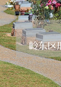 岭东区刑事拘留律师