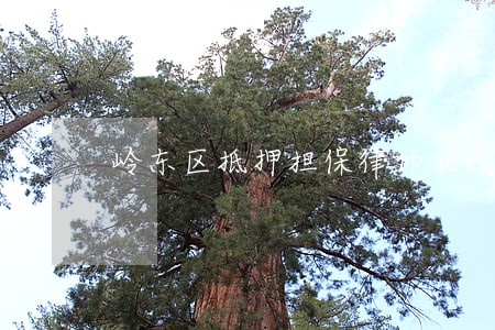 岭东区抵押担保律师在线免费咨询 岭东区抵押担保律师在线免费咨询