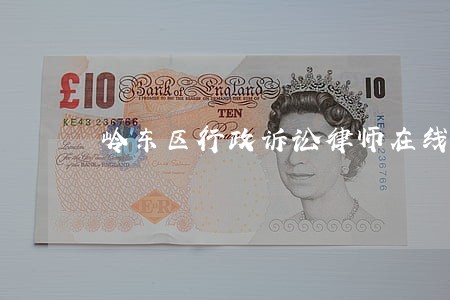 岭东区行政诉讼律师在线免费咨询 岭东区行政诉讼律师在线免费咨询